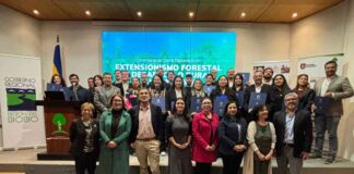 25 profesionales finalizaron diplomados para fortalecer desarrollo rural y gestión forestal en Biobío