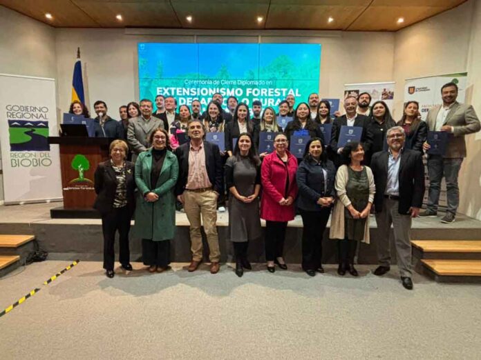 25 profesionales finalizaron diplomados para fortalecer desarrollo rural y gestión forestal en Biobío 25 profesionales finalizaron diplomados para fortalecer desarrollo rural y gestión forestal en Biobío