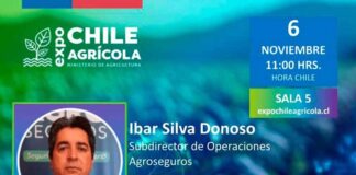 AGROSEGUROS DICTARÁ CHARLA SOBRE SEGUROS COLECTIVOS CON SUBSIDIO ESTATAL EN EXPO CHILE AGRÍCOLA 2025