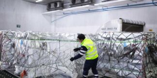 Aerosan ya está preparada para temporada de la fruta con foco en procesos logísticos y cadena de frío