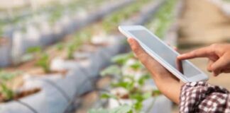 América Latina acelera su liderazgo en innovación agrícola sostenible y digital