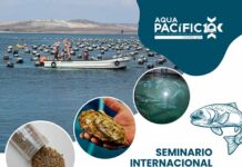 AquaPacífico invita al Seminario Internacional “Innovación sostenible para los desafíos de la Acuicultura Emergente en Chile” AquaPacífico invita al Seminario Internacional “Innovación sostenible para los desafíos de la Acuicultura Emergente en Chile”