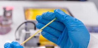 Benchmark Genetics Chile avanza en nuevos servicios genéticos y se prepara para LACQUA 2025