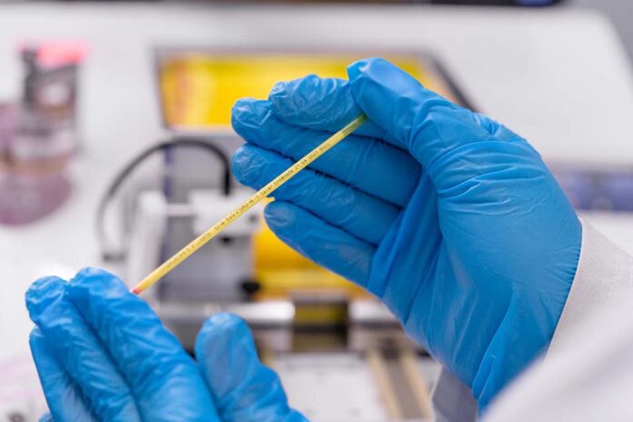 Benchmark Genetics Chile avanza en nuevos servicios genéticos y se prepara para LACQUA 2025 Benchmark Genetics Chile avanza en nuevos servicios genéticos y se prepara para LACQUA 2025