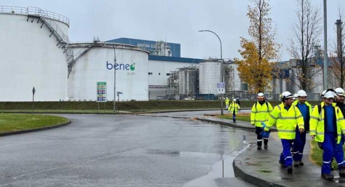 Beneo Orafti Chile es reconocida por segundo año consecutivo como una de las mejores empresas pagadoras del país Beneo Orafti Chile es reconocida por segundo año consecutivo como una de las mejores empresas pagadoras del país