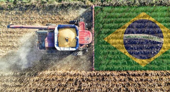 Brasil encara una nueva campaña agrícola con récord de superficie sembrada Brasil encara una nueva campaña agrícola con récord de superficie sembrada