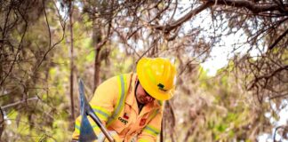 CONAF Arica busca a las y los mejores brigadistas forestales para temporada 2025 -2026