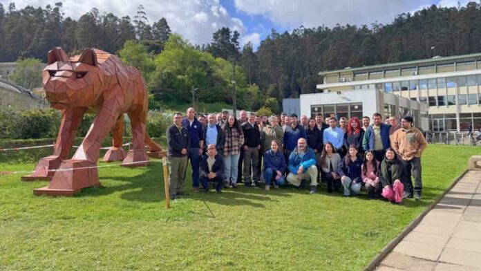 CONAF, CORMA y Bomberos fortalecen coordinación en reunión nacional de Centrales de Operaciones