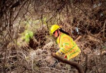 CONAF capacitó más de 100 militares de Arica en prevención y control de Incendios Forestales CONAF capacitó más de 100 militares de Arica en prevención y control de Incendios Forestales