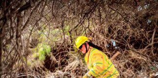 CONAF capacitó más de 100 militares de Arica en prevención y control de Incendios Forestales