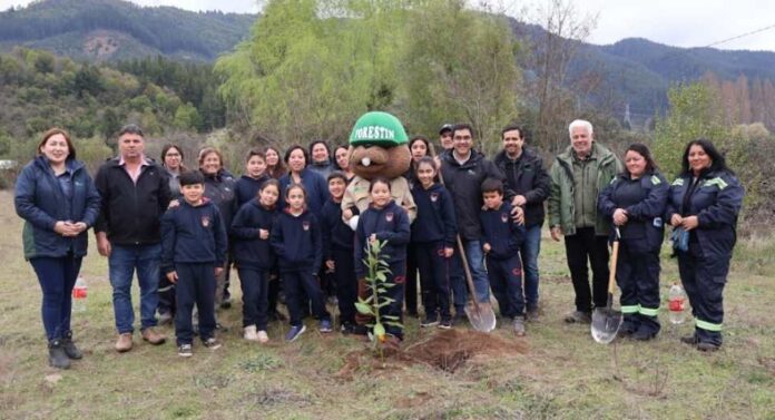 CONAF realizó jornada de reforestación en Escuela del sector Vega El Molino de Longaví CONAF realizó jornada de reforestación en Escuela del sector Vega El Molino de Longaví