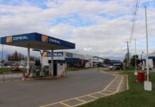 COPEVAL estará presente en la segunda versión de la conferencia sobre avellano Europeo