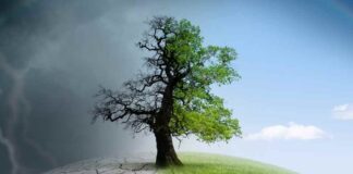 Cambio climático: verdad o falacia