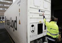 Carga reefer: la columna vertebral de las exportaciones frutícolas Carga reefer