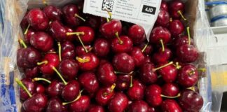 Cerezas ultratempranas de Colchagua marcan inicio de la temporada 202526