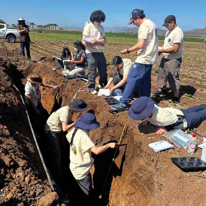 Ciencia, sostenibilidad y colaboración marcan el Congreso Nacional de la Ciencia del Suelo 2025 (1) Ciencia, sostenibilidad y colaboración marcan el Congreso Nacional de la Ciencia del Suelo 2025