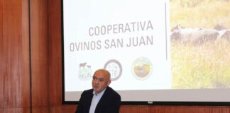 Congreso Cooperativo del Sur