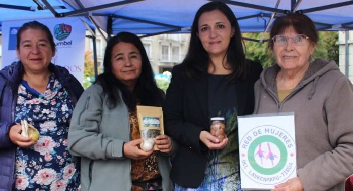 Conmemorarán el Día Internacional de las Mujeres Rurales con Feria Campesina en Concepción Conmemorarán el Día Internacional de las Mujeres Rurales con Feria Campesina en Concepción