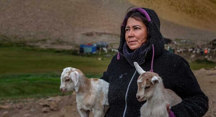 Cuando emprender es resistir la historia de Myriam en Tulahuén Cuando emprender es resistir la historia de Myriam en Tulahuén