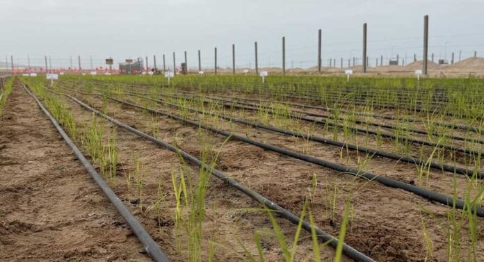 De Norte a Sur: Cómo el calentamiento global borra las fronteras climáticas del país