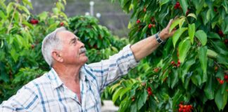 Déficit de mano de obra en el agro