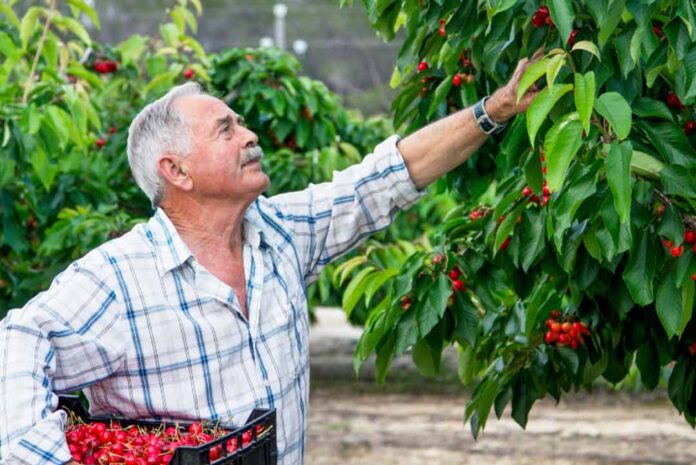 Déficit de mano de obra en el agro Déficit de mano de obra en el agro