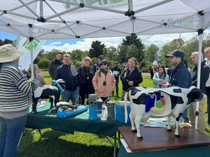 Delegación de la Cumbre Mundial de la Leche conoce avances científicos y tecnológicos en su visita a INIA Remehue Delegación de la Cumbre Mundial de la Leche conoce avances científicos y tecnológicos en su visita a INIA Remehue