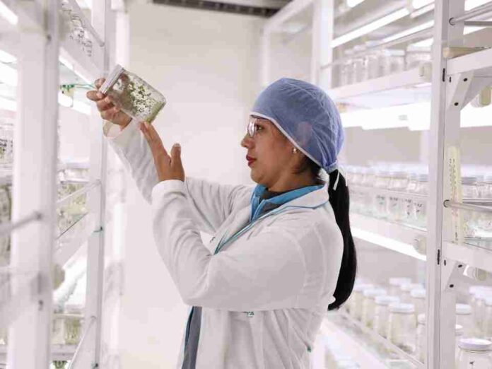 Día Mundial de la UNESCO: ¿por qué Venezuela logró que las semillas agámicas sean el futuro de la alimentación humana?