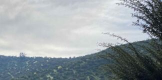 Día Nacional del Medio Ambiente