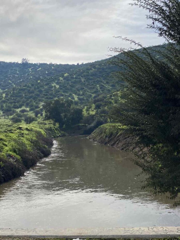 Día Nacional del Medio Ambiente Día Nacional del Medio Ambiente