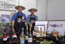 Viñas campesinas de la región del Biobío se tomarán Concepción en la “Feria del Vino 2025” Viñas campesinas de la región del Biobío se tomarán Concepción en la “Feria del Vino 2025”