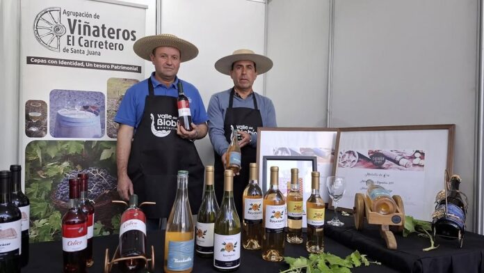 Viñas campesinas de la región del Biobío se tomarán Concepción en la “Feria del Vino 2025”