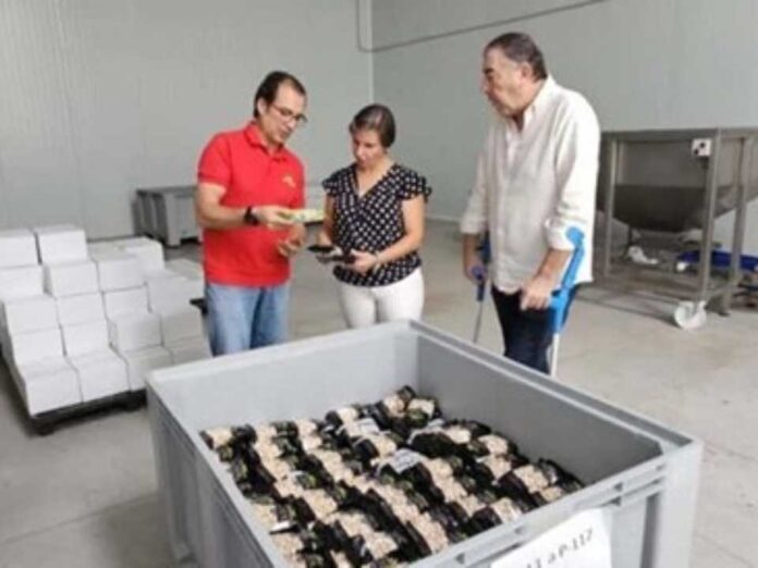 España El pistacho se convierte en el tercer cultivo en la provincia de Jaén por detrás del olivar y del almendro España | El pistacho se convierte en el tercer cultivo en la provincia de Jaén por detrás del olivar y del almendro