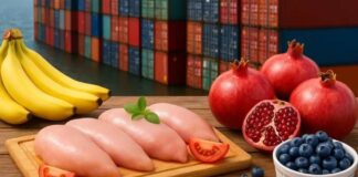 Exitoso balance de la ExpoMundoRural 2025 de INDAP más de 30 mil visitantes y $404 millones en ventas (1)