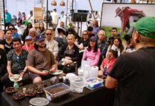 Exitoso balance de la ExpoMundoRural 2025 de INDAP: más de 30 mil visitantes y $404 millones en ventas Exitoso balance de la ExpoMundoRural 2025 de INDAP más de 30 mil visitantes y $404 millones en ventas