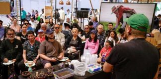 Exitoso balance de la ExpoMundoRural 2025 de INDAP más de 30 mil visitantes y $404 millones en ventas