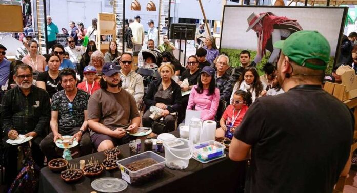 Exitoso balance de la ExpoMundoRural 2025 de INDAP más de 30 mil visitantes y $404 millones en ventas Exitoso balance de la ExpoMundoRural 2025 de INDAP más de 30 mil visitantes y $404 millones en ventas