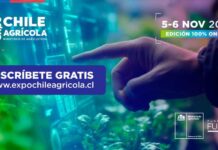 Expo Chile Agrícola 2025 abordará ejes clave para el sector silvoagropecuario con foco en Inteligencia Artificial