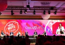 Exponut 2025: la industria de la nuez chilena consolida su recuperación