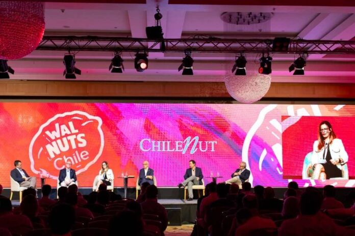 Exponut 2025: la industria de la nuez chilena consolida su recuperación