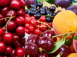 La FDA establece nuevos estándares para fortalecer la seguridad de frutas y verduras en EE.UU. La FDA establece nuevos estándares para fortalecer la seguridad de frutas y verduras en EE.UU.