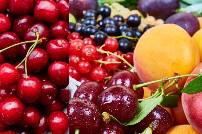 Exportaciones de frutas chilenas alcanzan los US$ 9.460 millones