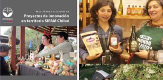 FIA da a conocer resultados, experiencias y lecciones aprendidas de proyectos de innovación en Chiloé