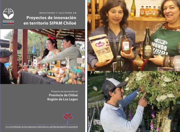 FIA da a conocer resultados, experiencias y lecciones aprendidas de proyectos de innovación en Chiloé FIA da a conocer resultados, experiencias y lecciones aprendidas de proyectos de innovación en Chiloé