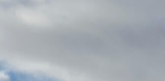 Fauna resiliente y paisajes en recuperación en la Reserva de Conservación Torres del Paine (1)