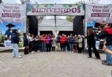 Feria del Vino 2025 abre sus puertas con cepas ancestrales, cocina en vivo y catas guiadas Feria del Vino 2025 abre sus puertas con cepas ancestrales, cocina en vivo y catas guiadas
