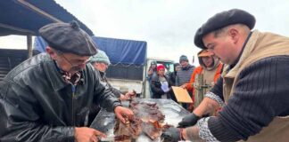 Festival de la Carne reunió a la comunidad de La Junta en una exitosa primera versión
