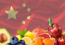 Mercado de frutas en China, manzanas, paltas, arándanos, naranjas, pomelos, limones; semana 39-2025