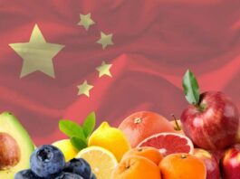 Mercado de frutas en China, manzanas, paltas, arándanos, naranjas, pomelos, limones; semana 39-2025