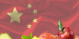 Mercado de frutas en China, manzanas, paltas, arándanos, naranjas, pomelos, limones; semana 39-2025